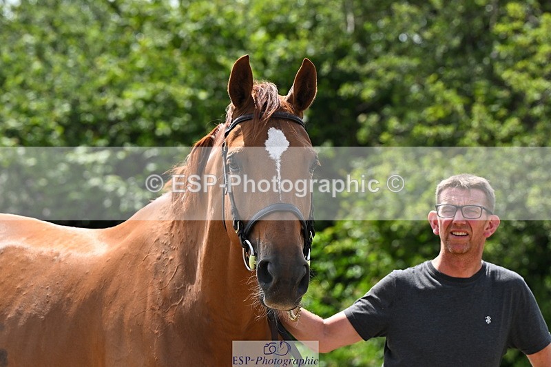 240718A-105318-01821 - Trot Up 1pm to 2pm