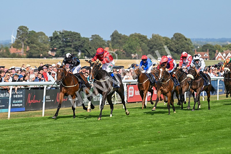 240825-Race 4-Lady Hornblower-2968 - Race 4