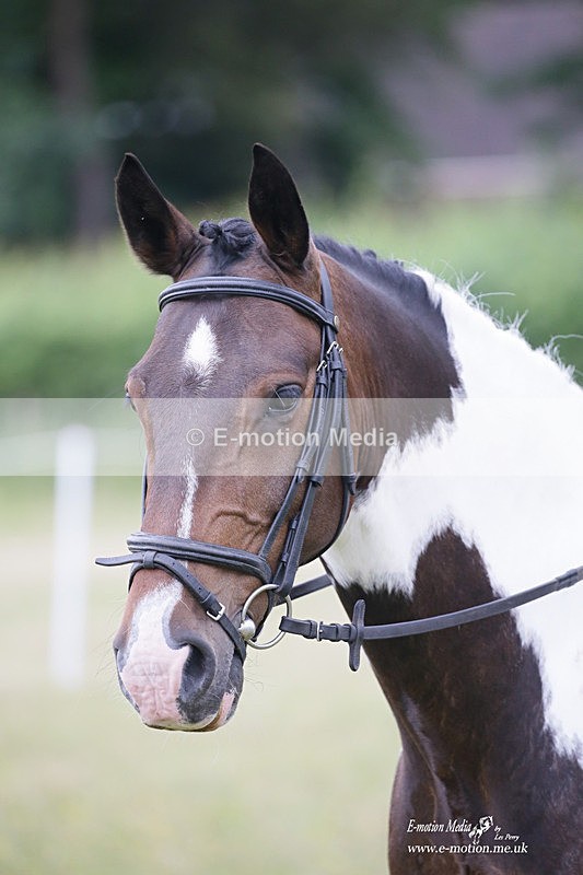 BVRC 030721 827 - Bourne Valley Riding Club Dressage 03/07/21