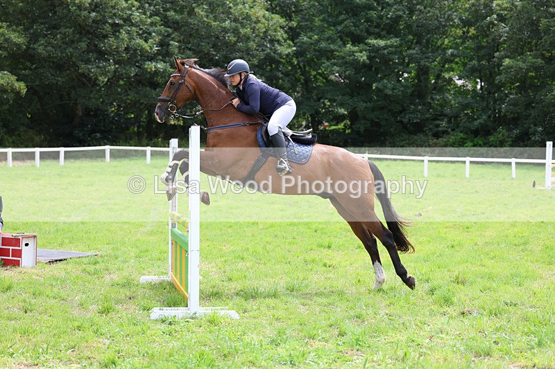 3E7A7323 - Class 5: Senior British Novice/90cm open