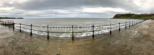 IMG_0927 - Cayton Bay - 11th April 2017
