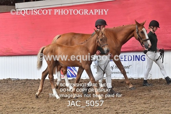JAC_5057 - 9 Zinzipan