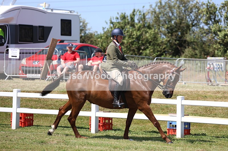 3E7A7706 - Class 7: Open Riding Horse