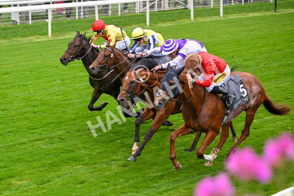 101025-Race 2-Astrazar-6348 - Race 2 British EBF £100,000 Final at York