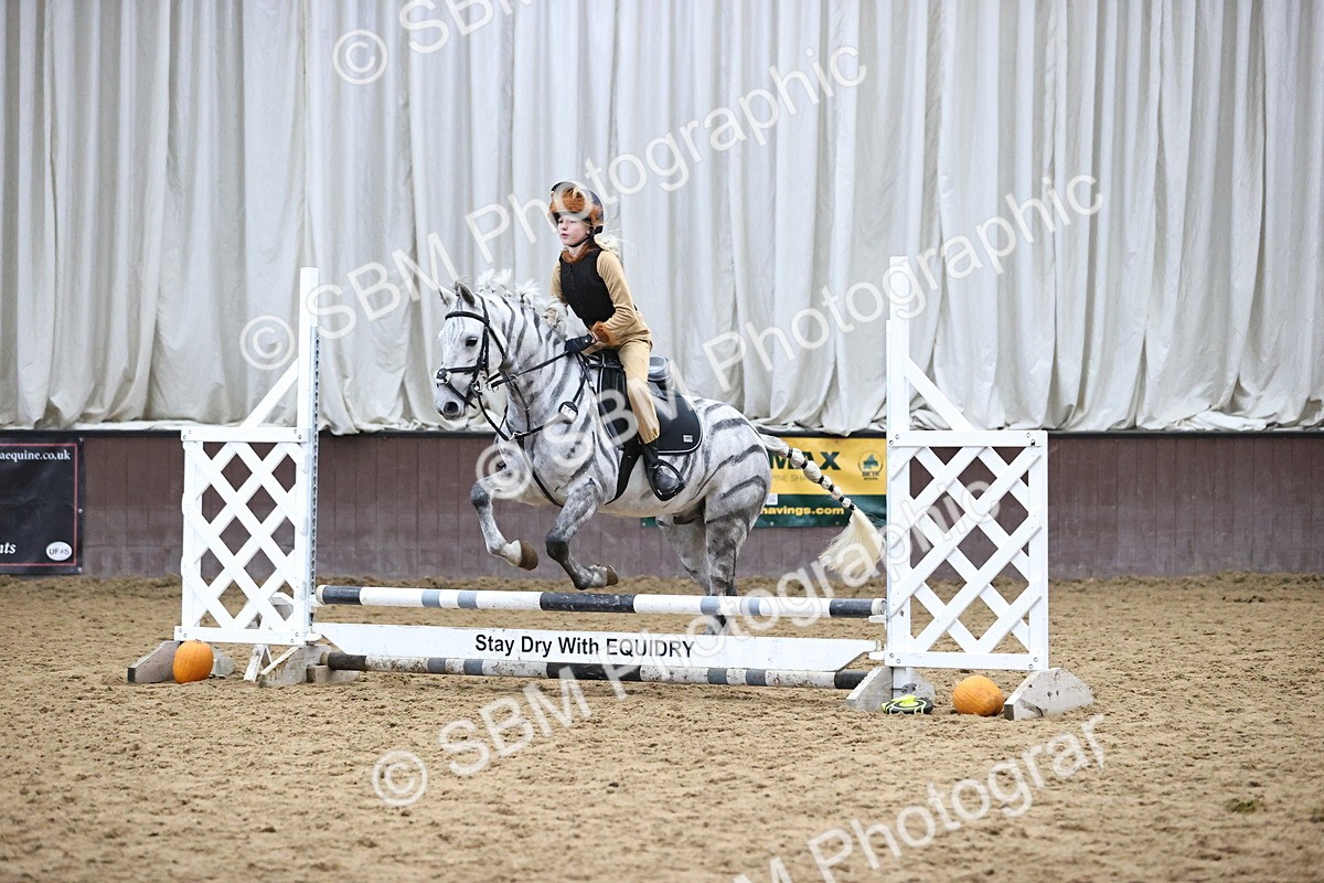 SBM_001262 - Class 3 - Horse & Hound 60cm