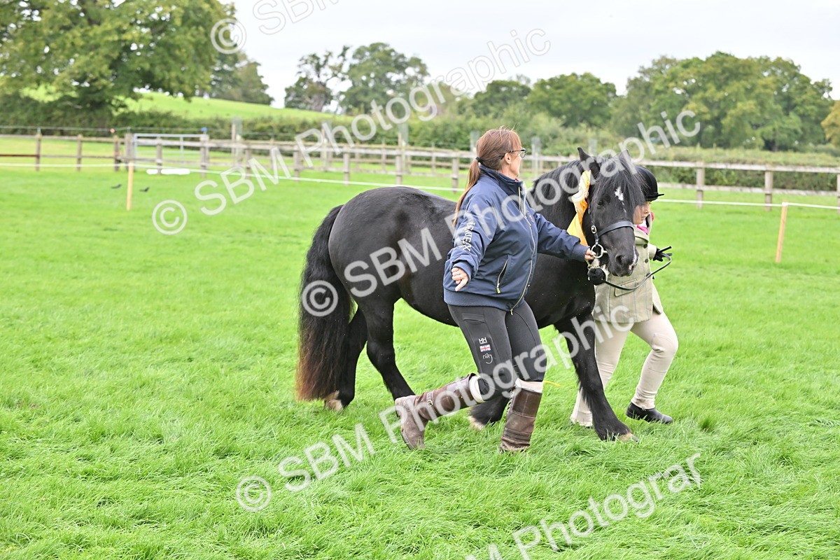 SBM_66844 - S41 - Junior Handler 8 Years & Under