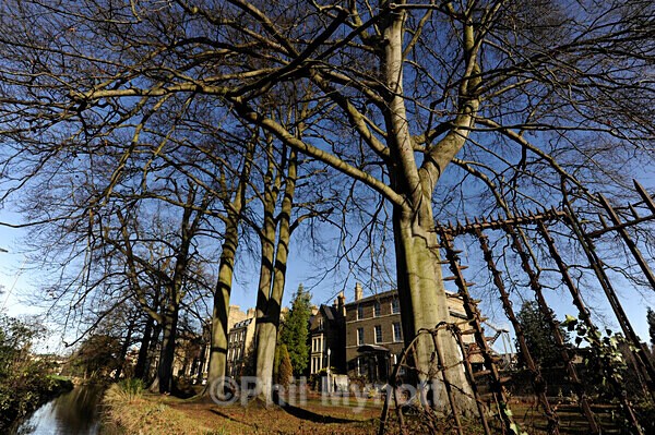 MynottART151 - Photo Mynott ART Images