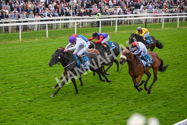 210824-Race 7-Yes Im Mali-5766 - Race 7 5.20pm Sky Bet Nursery Handicap
