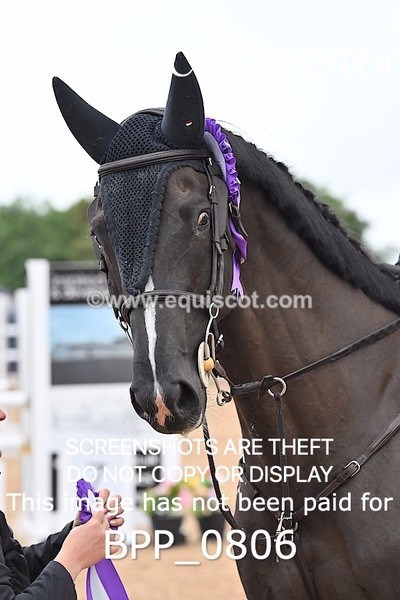 BPP_0806 - CLASS 29 SUN GFS Saddles Senior Newcomers/1.10m Open