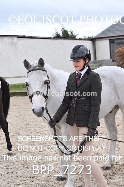 BPP_7273 - RING 1  (RIDDEN HORSES / IN HAND / VETERAN ETC)