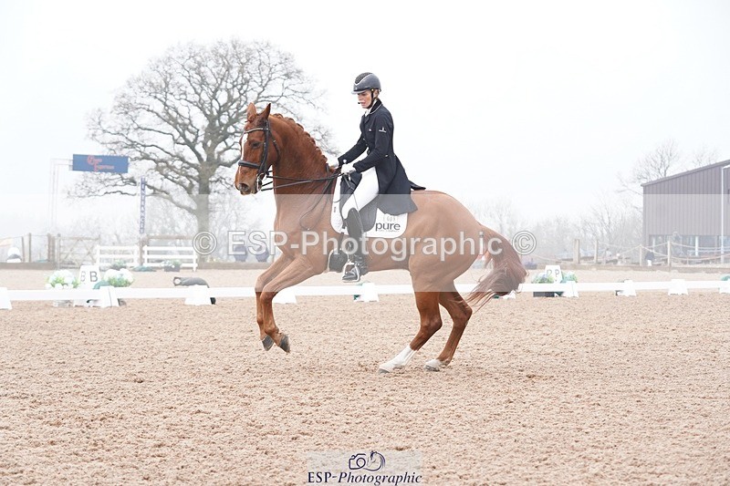 250404-095236-04141 - 009-Sarah.Stewart-Djoe.Dimaggio