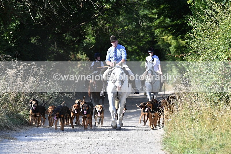 WJ5_4780 - Walk out with the hounds