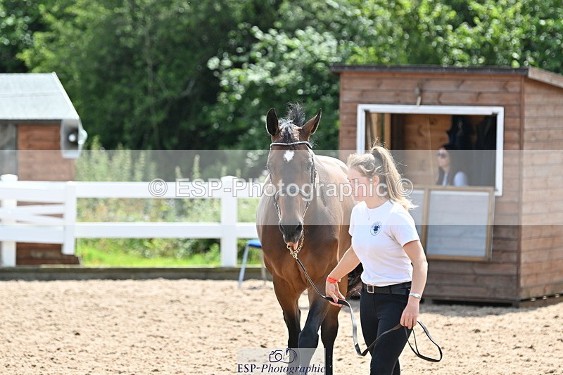 240717A-150030-02430 - Trot Up 3pm to 4pm