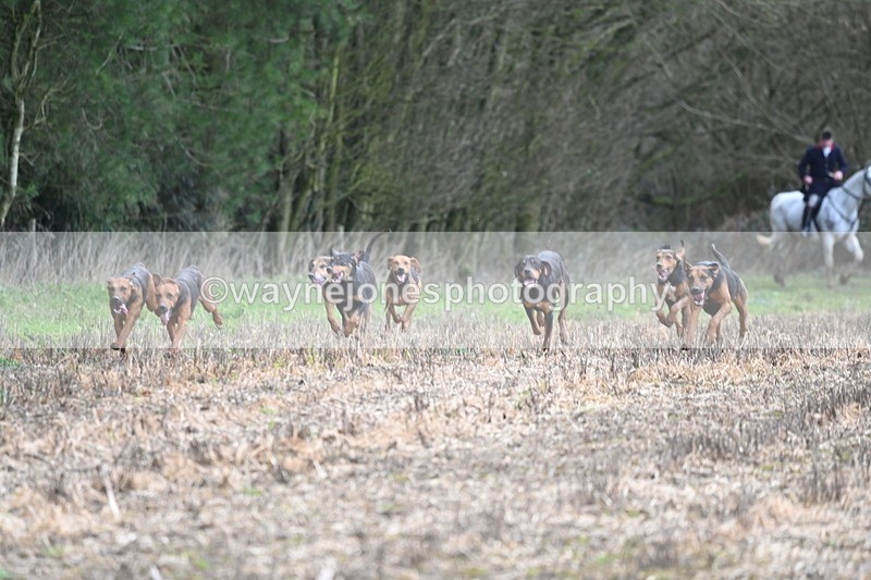 WJ6_9420 - Line Four