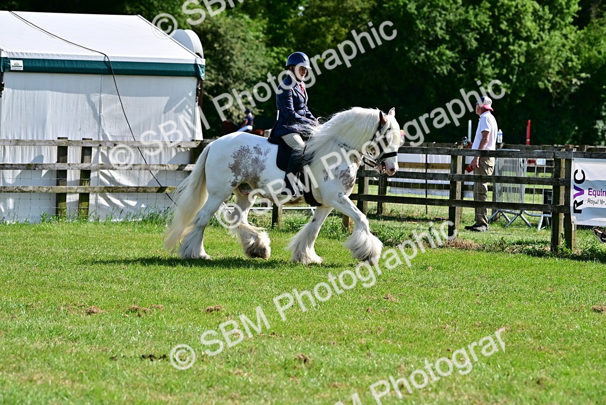 SBM_09302 - Class 63-65 - Traditional Gypsy Cobs In Hand & Ridden