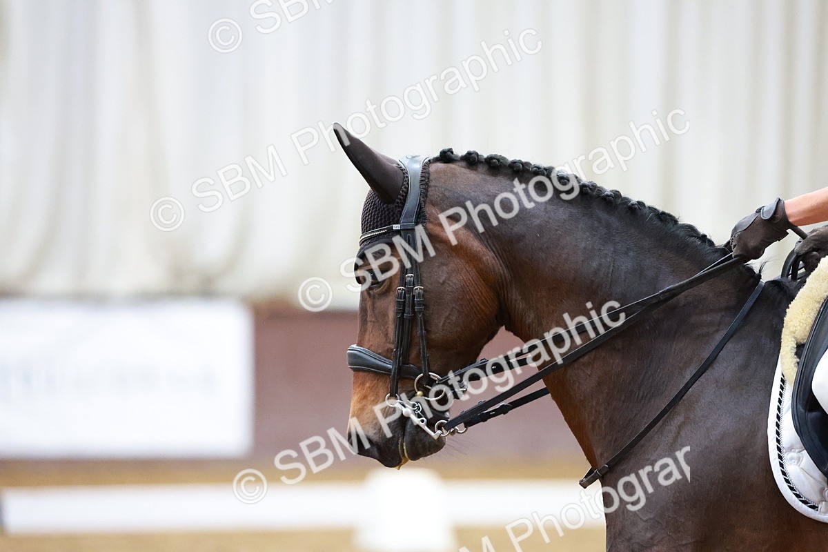 SBM_000638 - Class 3-6-9-18 - Pre Nov Ele PSG - FSM