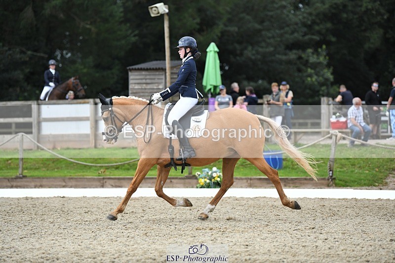 230812-123848-04176 - Cls 6 Novice Silver 12.10 to End