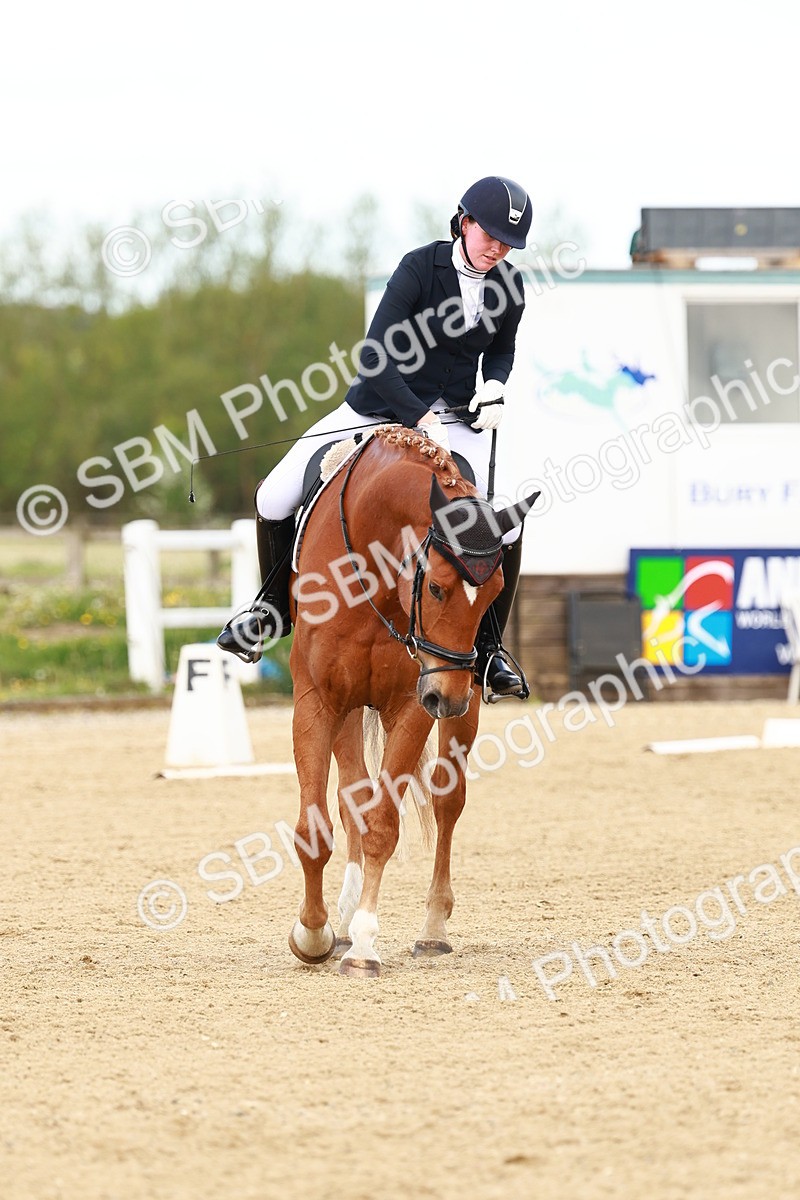 SBM_000681 - Class 8 - N5