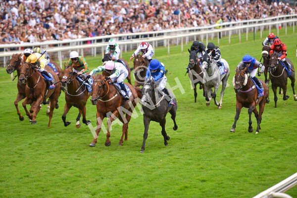 yr24072021r2-15 - Race 2 2.40pm Sky Bet Dash