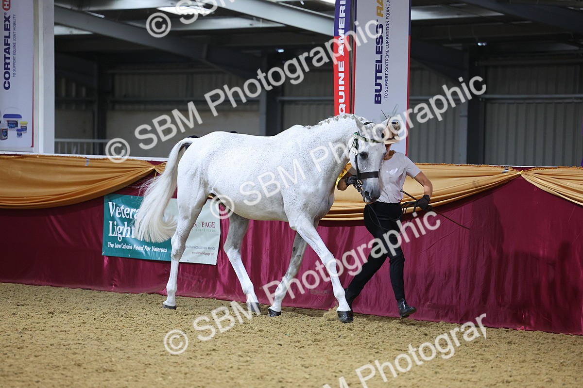 SBM_20809 - Class 902 - Supreme Final IH Veteran