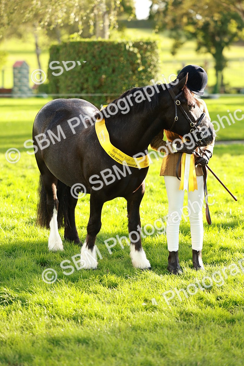 SBM_29281 - Novice & newcomer Supreme Championship