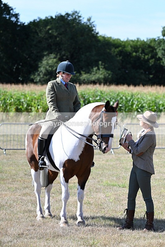 WJ7_3188 - Class 8 Ridden Tack & Turnout