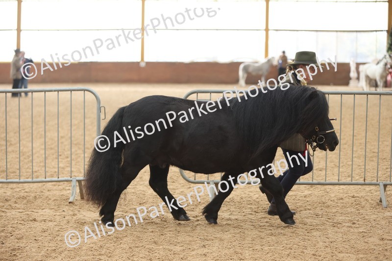 20251109-0127 - Championship