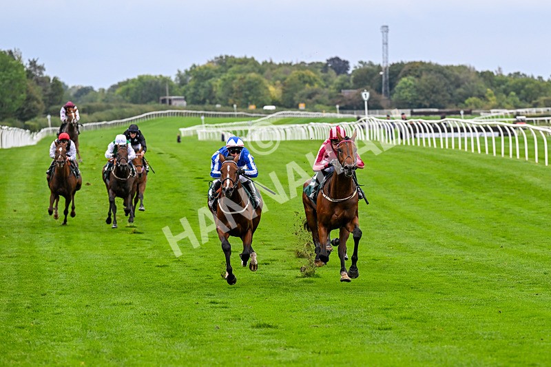 011025-Race 3-Real American-0231 - Race 3