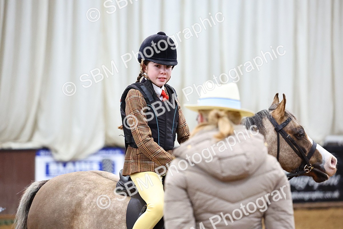SBM_003049 - Class 35 - 60cm Training Stakes