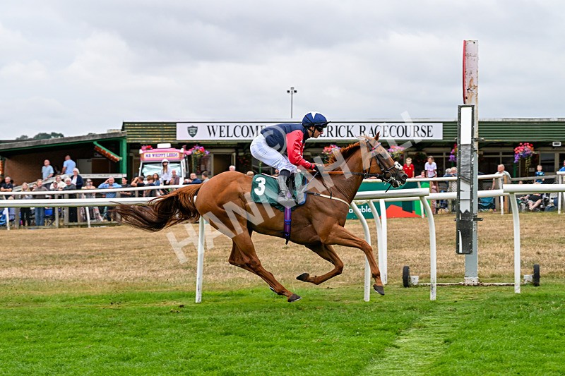170826-Race 5-Our Absent Friends-9770 - Race 5 16.15pm racingtv.com Handicap