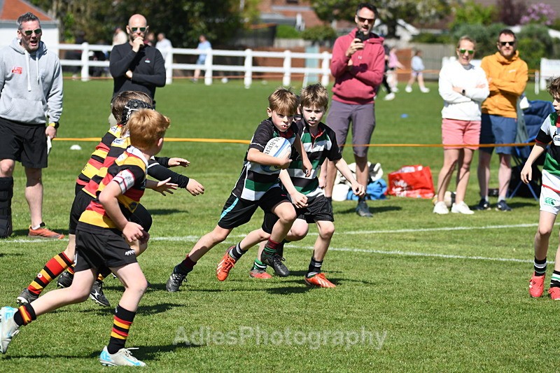  - Selby Rugby Festival 2025
