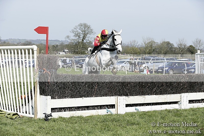 PtP 260317 136 - Mendip Farmers Point-to-Point Ston Easton 26/03/17