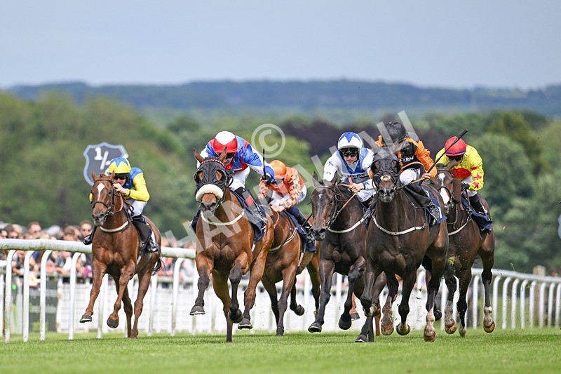 290524-Race 4-Makeen-6455 - Race 4