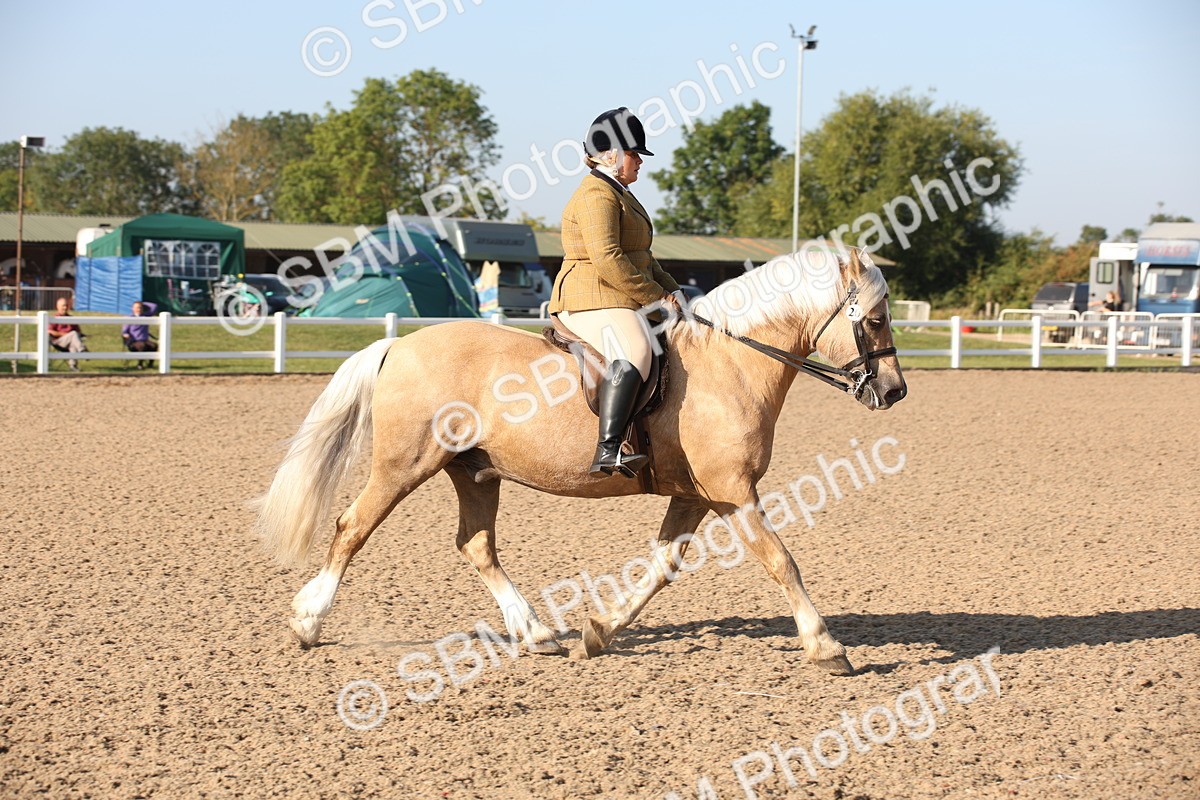 SBM_00643 - Class 14 Ridden M&M Wildcard