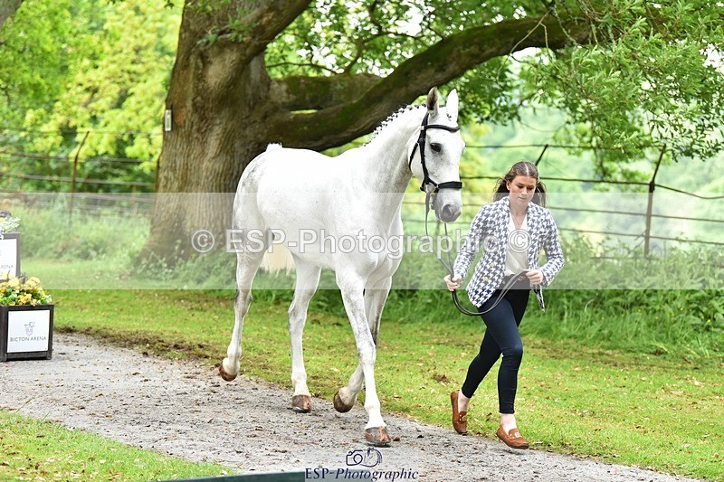 240522-170758-01408 - 239-KATE_BLUE-Millie_Juleff