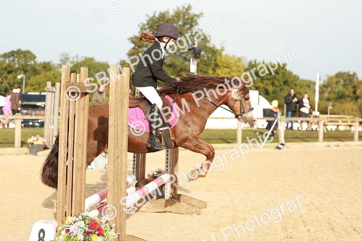 SBM_55614 - J11 - Junior Pony 50cm Championship