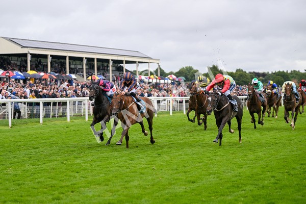 130724-Race 6-Zimmerman-7689 - Race 6 4.50pm John Smith's Stayers' Handicap