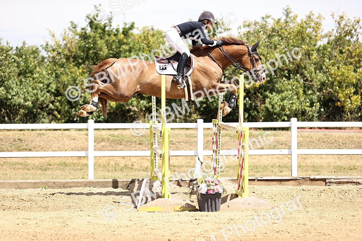 SBM_010285 - Class 9 - Senior Foxhunter - 1.20m Open