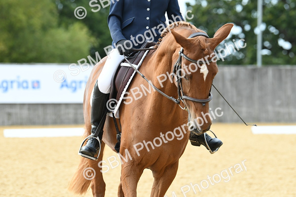 SBM_11021 - D28 Elementary Taster Elementary 42