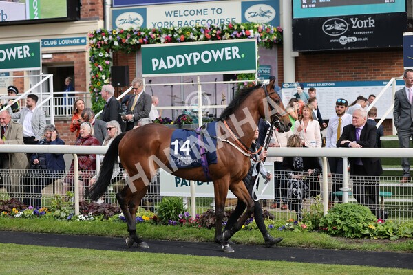 yr13052022r7-8 - Race 7 5.15pm Longines Irish Champions Weekend Stakes