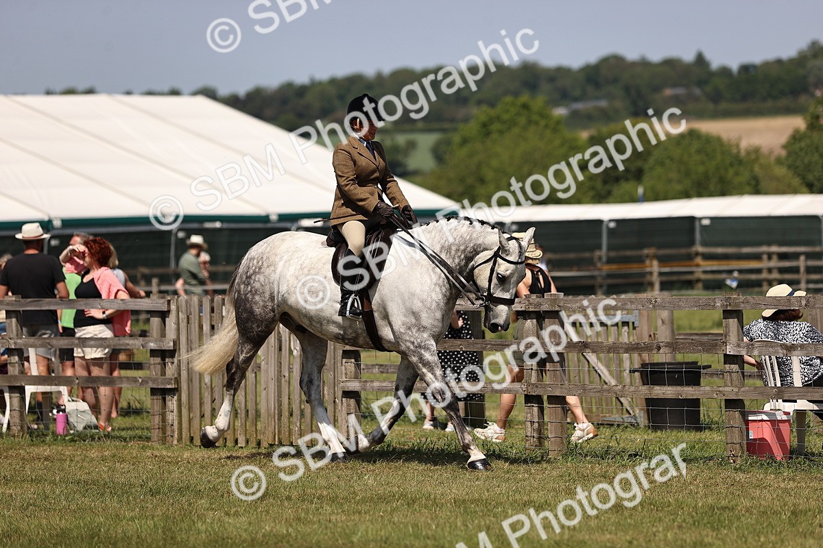 SBM_17702 - Class 81-83 - TSR Ridden Amateur of the Year - Horses