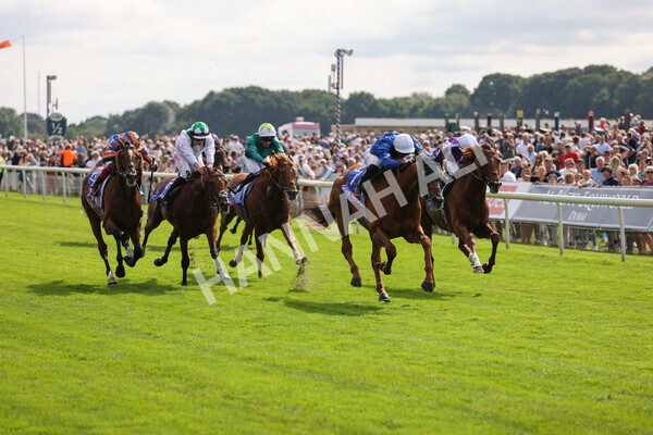 yr18082021r3-62 - Race 3 3.00pm Sky Bet Great Voltigeur Stakes