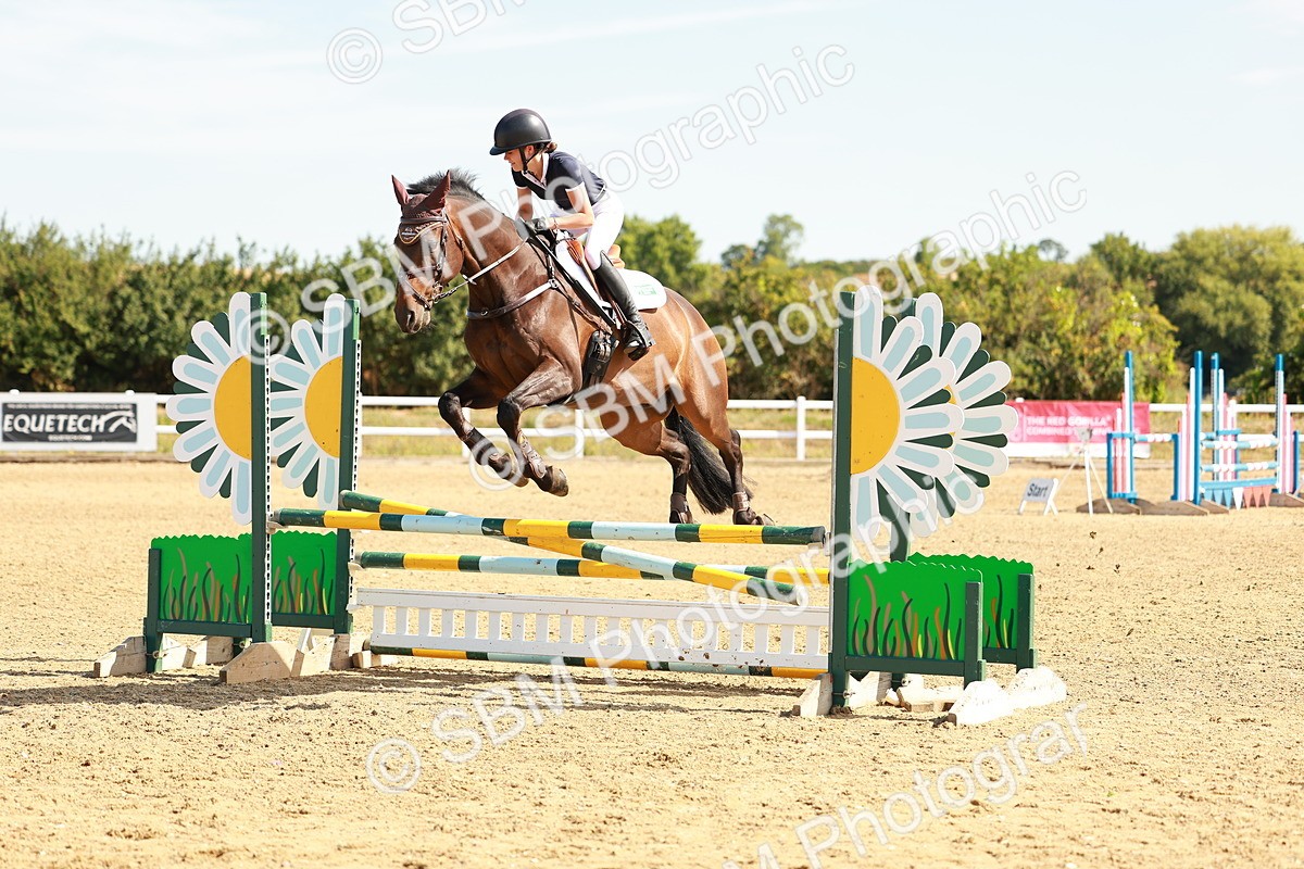 SBM_002560 - Class 9 - Senior British Novice - 90cm
