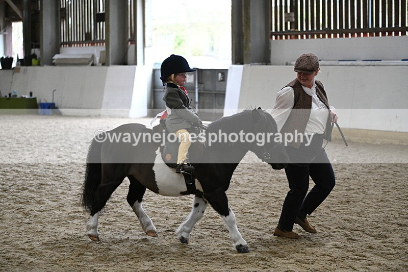 WJ7_4566 - Afternoon Champs