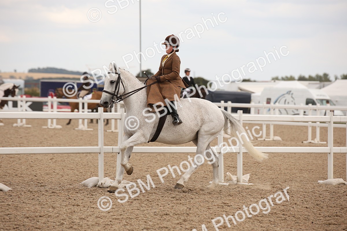 SBM_05368 - Class 22 SSA Equitation