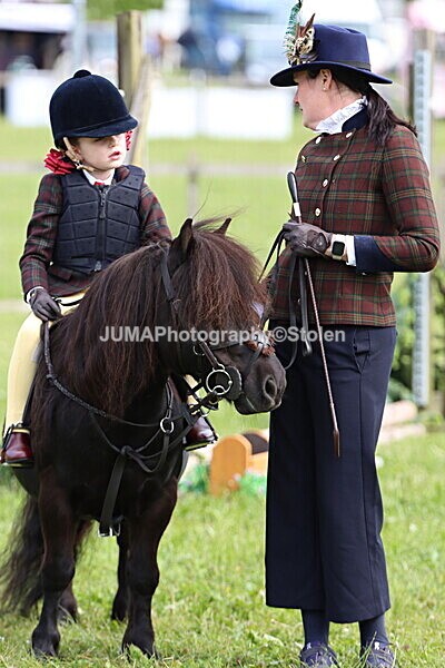 IMG_2289 - Working Hunter