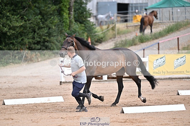 250716-131050-00388 - Trot Up 12.30 to 1.30
