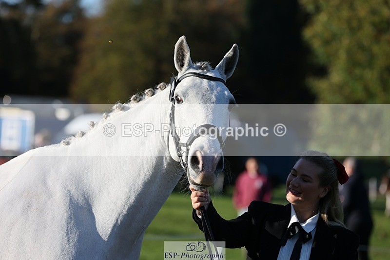 241027-090142-14973 - 461-Olivia.Radcliffe-CHALKY'S.DREAM