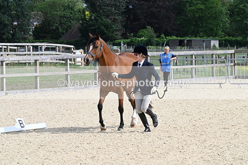 WJ7_8253 - Time 16:10 to 16:25