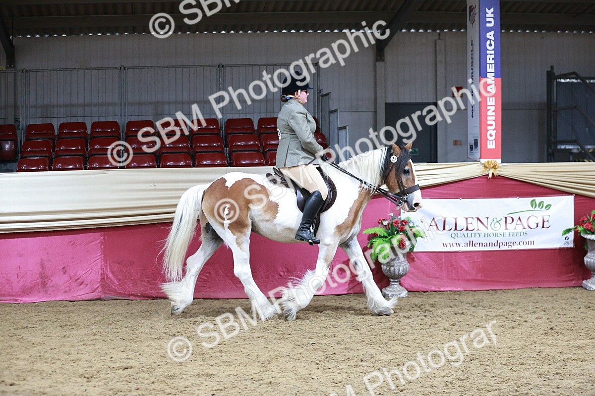 SBM_07315 - Class 10R - Regional Ridden Diamond